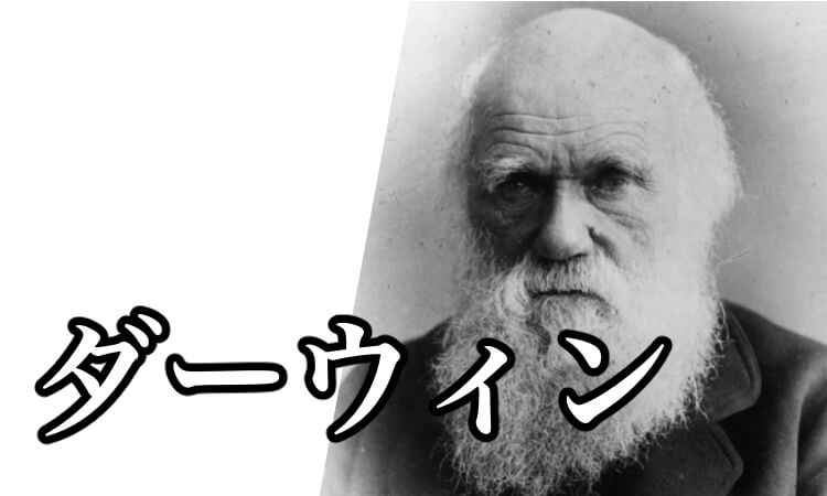 ダーウィンとは 進化論や名言 子孫など天才の生涯を解説